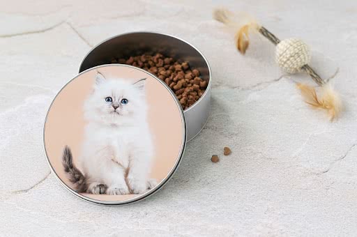 collection pour animaux et propriétaire
